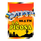 Galaxia La Picosa