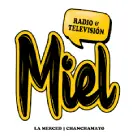 Radio Miel