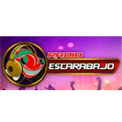 Escarabajo