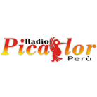 Radio Picaflor