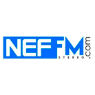 Nef Stereo