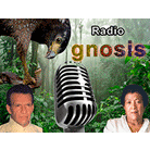 Radio Gnosis