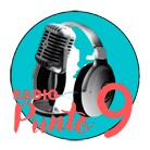 Radio Punto 9