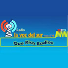 Radio La Voz Del Sur